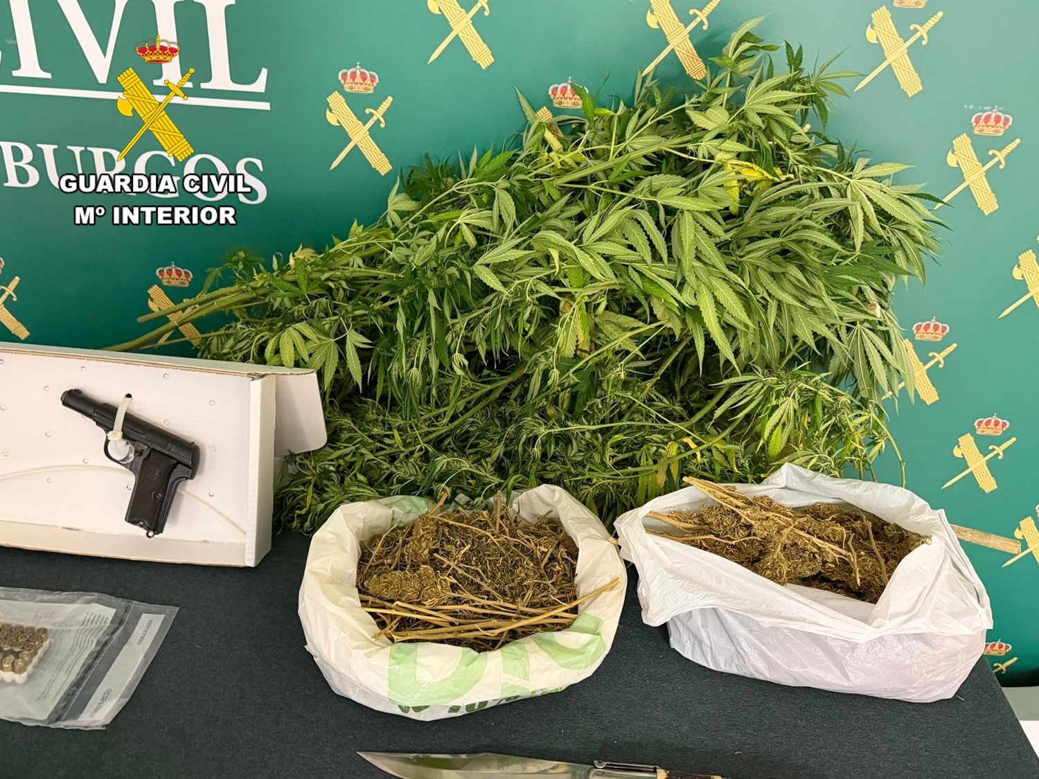 Cuatro detenidos tras desmantelar cuatro puntos de venta de droga en la Ribera del Duero