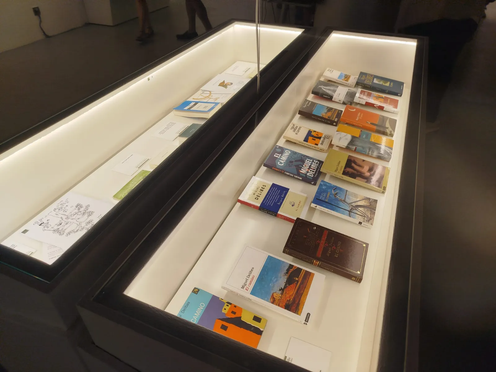 Foto 2 - Burgos recorre a trav&eacute;s de una exposici&oacute;n los 75 a&ntilde;os de &lsquo;El camino&rsquo; de Miguel Delibes