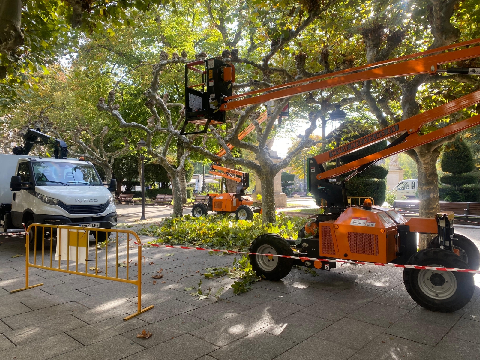 Se inicia la poda de los plátanos en el Espolón