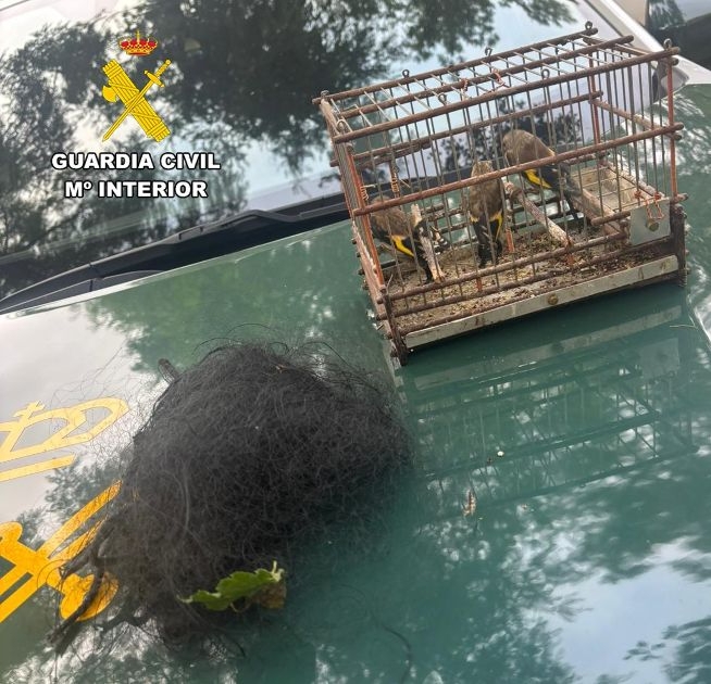 Ponen a disposición judicial a un varón por atrapar pájaros con una ‘red japonesa’ en Burgos
