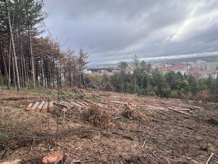 Burgos adelanta en tres años el clareo del cinturón verde para reducir el riesgo de incendios