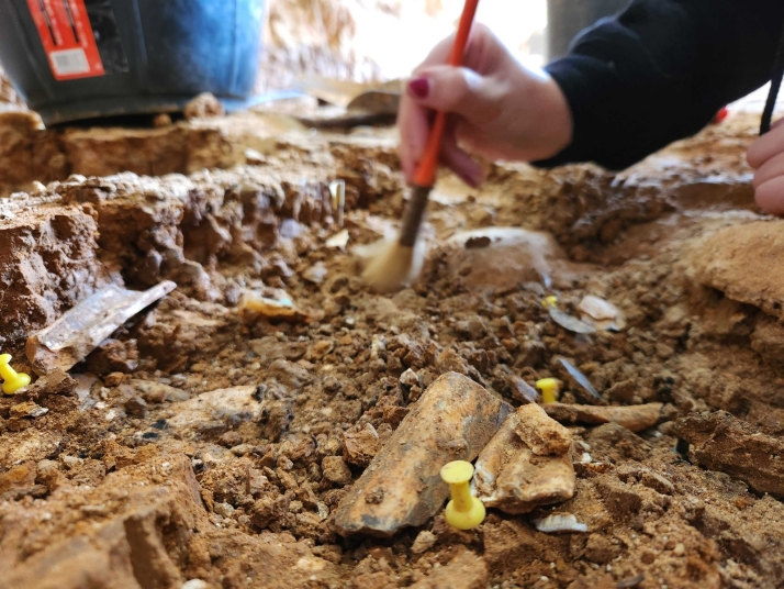 Burgos guarda uno de los mayores campamentos neandertales excavados en una cueva del mundo | Imagen 1