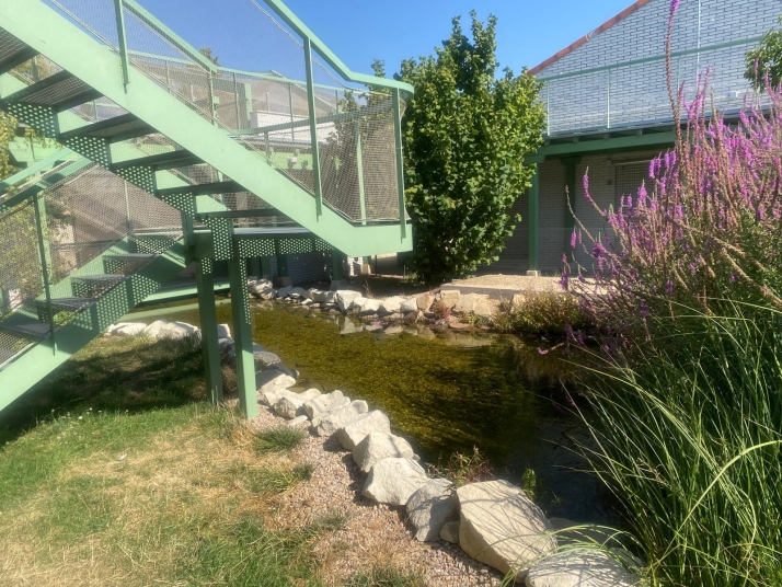 El Centro de Biodiversidad de Burgos roza los 11.000 visitantes en su primer a&ntilde;o | Imagen 1