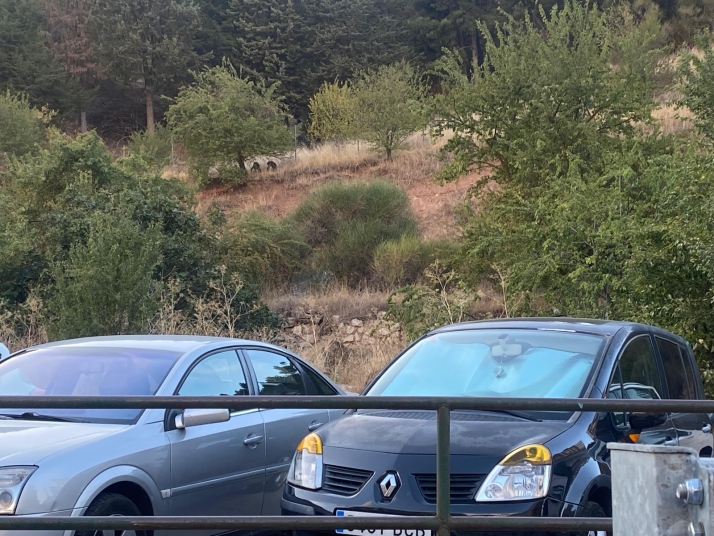 Sorpresa en la ladera del Castillo: avistan corzos junto al antiguo tanatorio de San Jos&eacute; | Imagen 1