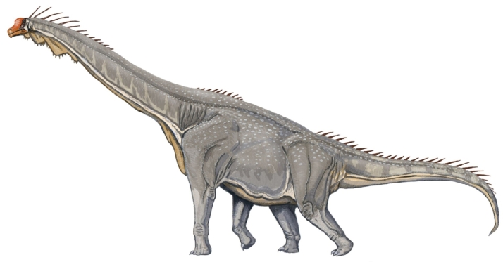 La paleontolog&iacute;a burgalesa suma un nuevo gigante y conquista los museos de Jap&oacute;n | Imagen 2